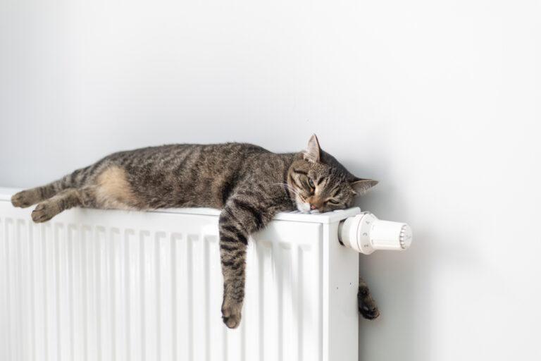 Használhatok radiátorokat hőszivattyúval?